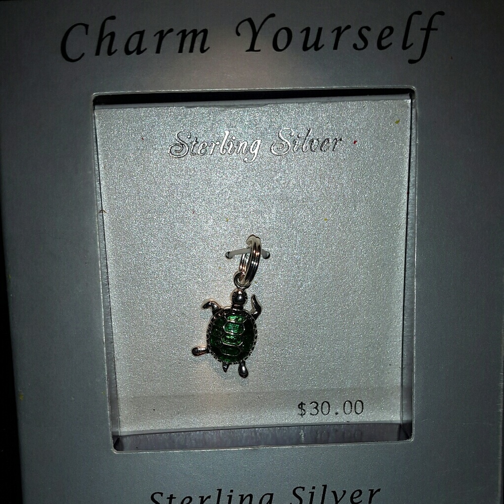 #329 Sterling silver turtle charm bracelet charm